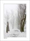 inverno a milano... inverno a milano...