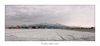 Finalmente è arrivata anche da noi la Neve!!! Finalmente è arrivata anche da noi la Neve!!!