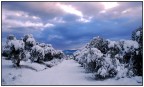 l'inverno bianco....