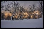 ...è nevicato!!! ...è nevicato!!!