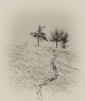 Solitudine