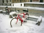 Nevica, trasporti in tilt! Nevica, trasporti in tilt!
