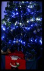 Merry Christmas Merry Christmas