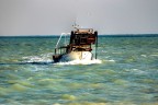 pesca in mare pesca in mare