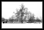 Neve in città Neve in città