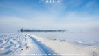syberian syberian