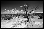 DeserteD 2 DeserteD 2