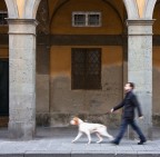 ....taglio  rivisto.......