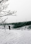 In solitaria In solitaria