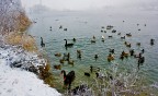 Lago Lago