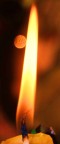 Lumen Gentium Lumen Gentium