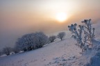 Alba Invernale Alba Invernale