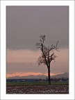 Solo soletto 2....Con colori e senza neve Solo soletto 2....Con colori e senza neve
