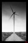 Wind power Wind power