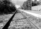 Parallele convergenti Parallele convergenti