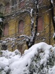 coltre di neve coltre di neve
