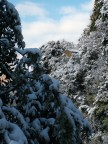 Come torno a casa? Come torno a casa?
