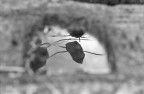 Riflessione Riflessione