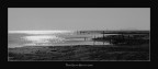 Il mare d'inverno Il mare d'inverno