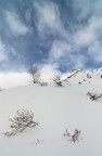 Paesaggio innevato