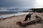 Cushendun Cushendun