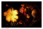 ...luce caravaggio.... ...luce caravaggio....