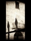 Suggestioni Suggestioni