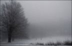 nebbia & neve nebbia & neve