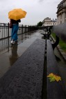 yellow yellow