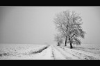 Nel bianco Nel bianco