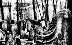 Cimitero Praga Cimitero Praga