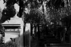 R.I.P. � un progetto iniziato da poco e che percorre i Cimiteri Italiani per raccontare con un punto di vista personale questi luoghi.
Il lavoro � realizzato completamente in analogico.

LEICA R5
Elmarit-R 50 mm. f/2
Pellicola Kodak T-Max 400
Scansione con HP Scanjet G4050
