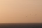 Sunset 10 Sunset 10