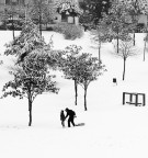 Commenti e critiche sempre ben accetti