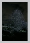 Profili nella notte.. Profili nella notte..