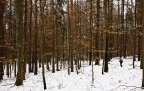 Jogging invernale Jogging invernale