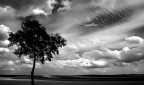 alsazia....silouette alsazia....silouette