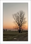 L'albero Maestro L'albero Maestro