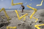 UCCELLI UCCELLI