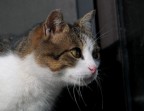 oltre lo sguardo... oltre lo sguardo...
