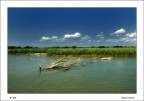 DELTA DEL PO' DELTA DEL PO'