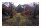 Ricordando l'autunno Ricordando l'autunno