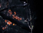 _DSC0769 _DSC0769