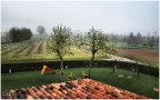 Campagna Mantovana Campagna Mantovana