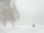 Bufera di neve Bufera di neve