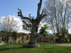 Roscigno Vecchia foto 2 Roscigno Vecchia foto 2