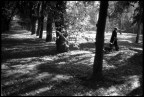 Light and shadow Light and shadow