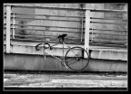 Fietsen Fietsen