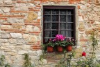 window window