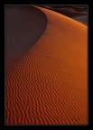 dune dune